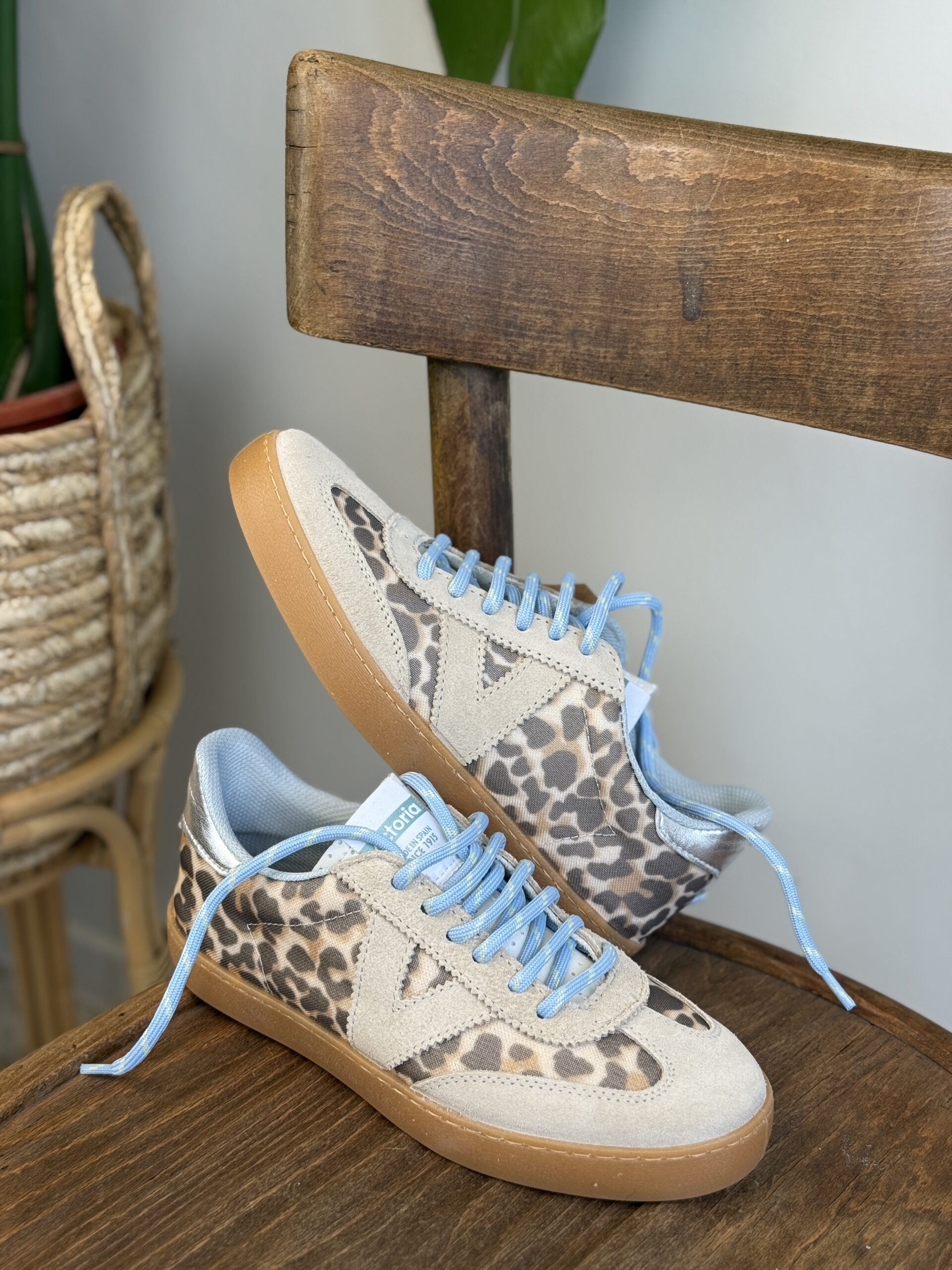 Foto 03-02-26, 12 09 27